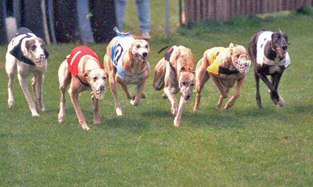 Wer gewinnt das Rennen um die Klimaneutralität und erntet den Wettbewerbsvorteil einer angebotsorientierten Energieversorgung?