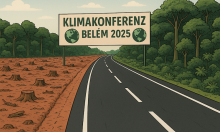 Belém – außer Spesen nichts gewesen. Von Fritz Vahrenholt