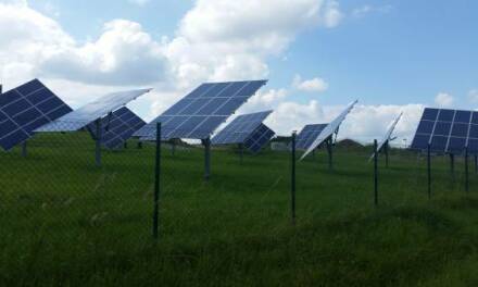 Grüne Träume für den Abrissbagger