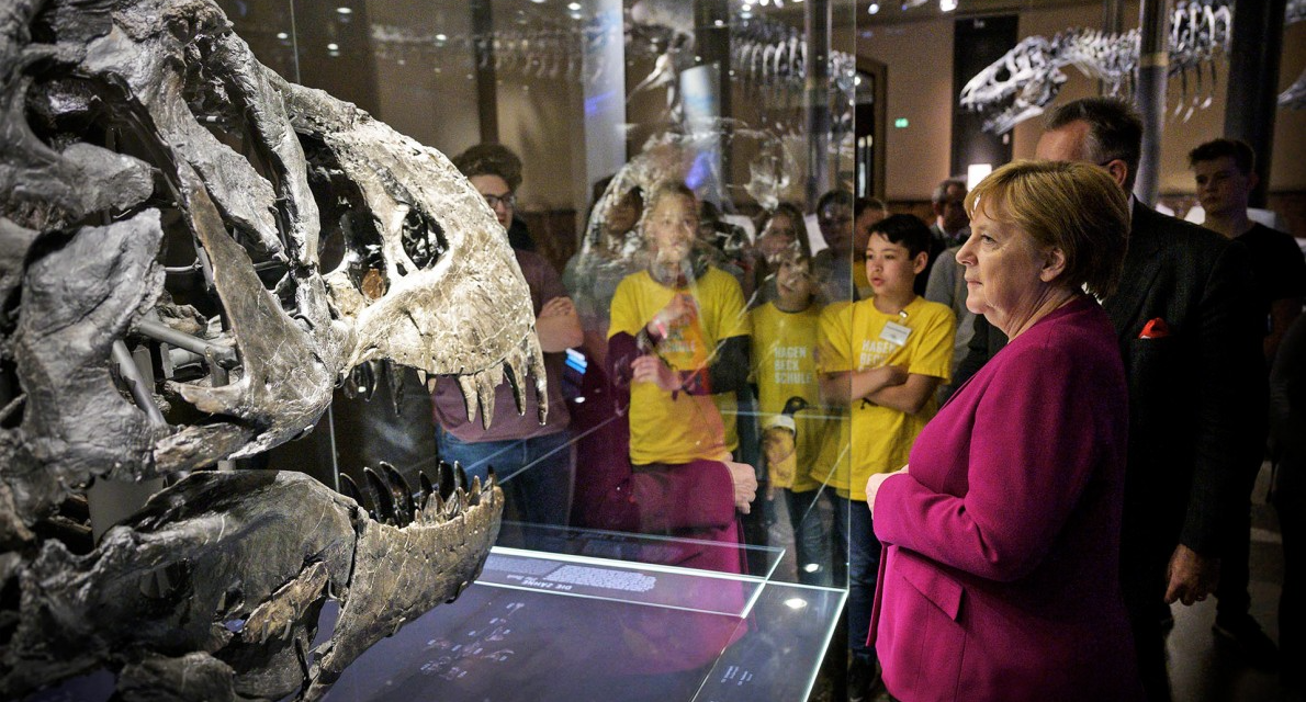 Die Mär vom sechsten Massenaussterben (1)