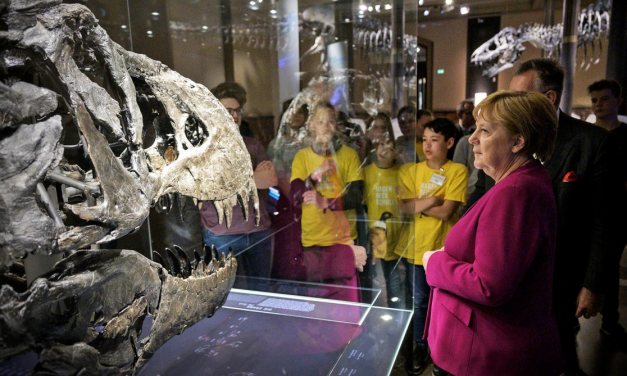 Die Mär vom sechsten Massenaussterben (2)