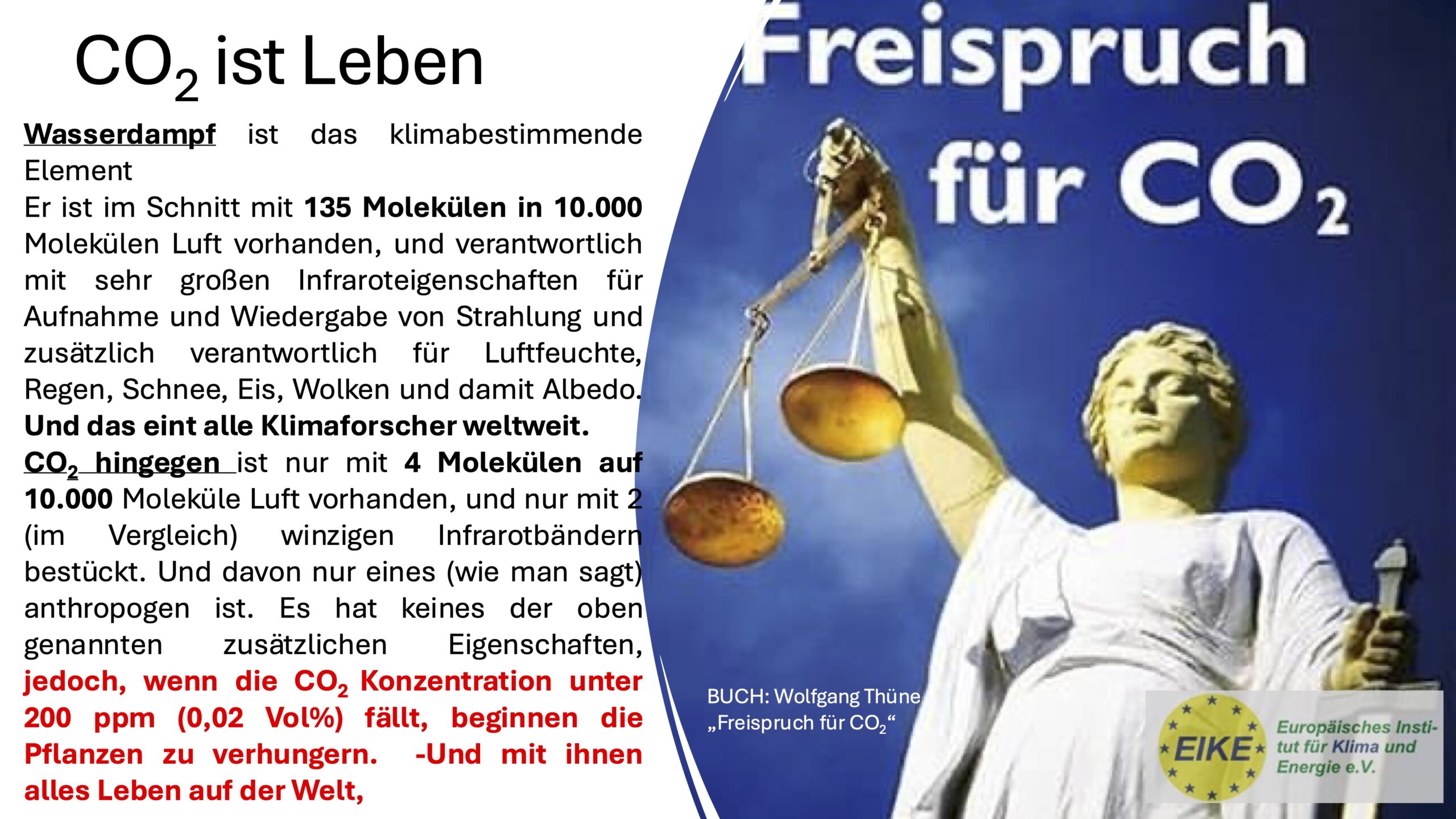 Klimaschutz mit Kuh: Ist „Bovaer“ gefährlich?