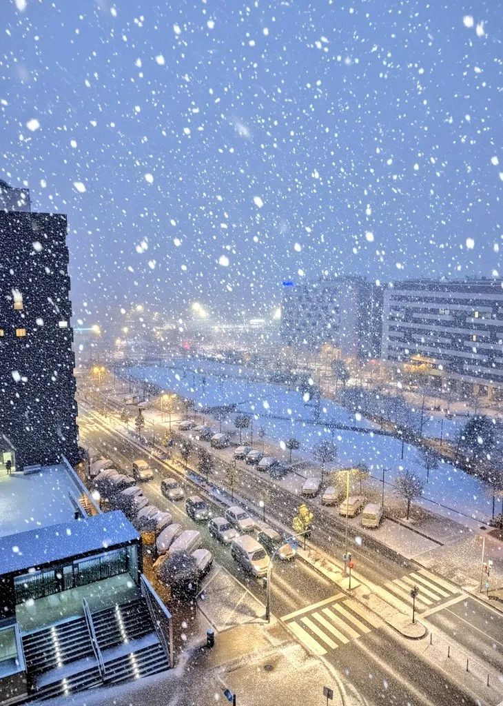 Kältereport Nr. 47 / 2025