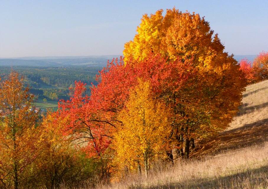 Oktobererwärmung in Deutschland, aber erst seit gut 30 Jahren – Teil 1