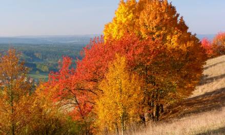 Oktobererwärmung in Deutschland, erst in den letzten 3 Jahrzehnten markant und angenehm.  Teil 2