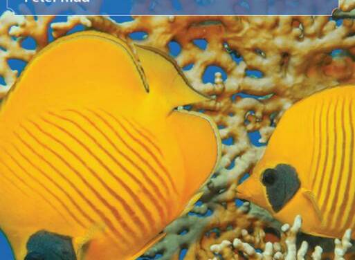 <em>Fake News</em>: BBC schlägt wieder einmal die Riff-Alarmtrommel