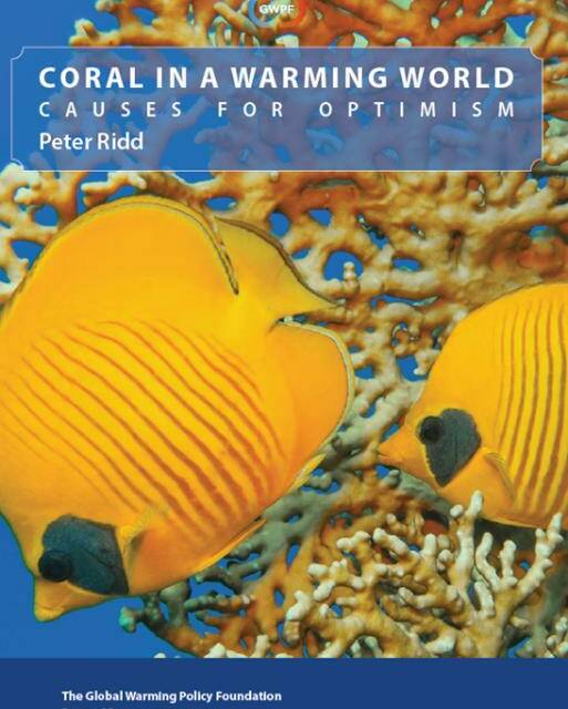 <em>Fake News</em>: BBC schlägt wieder einmal die Riff-Alarmtrommel