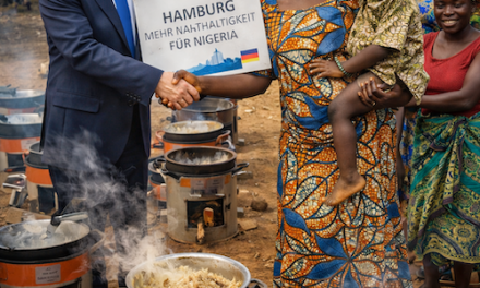 „Klimaschutz“ als Geldverbrennungs- und Betrugsmasche: Hamburg finanziert Öfen in Nigeria