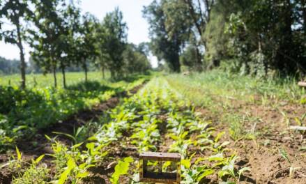 EIKE sagt danke! Ein Jahresrückblick
