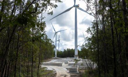 Gegenwind: Windkraft im Wald“  hier Entwaldung