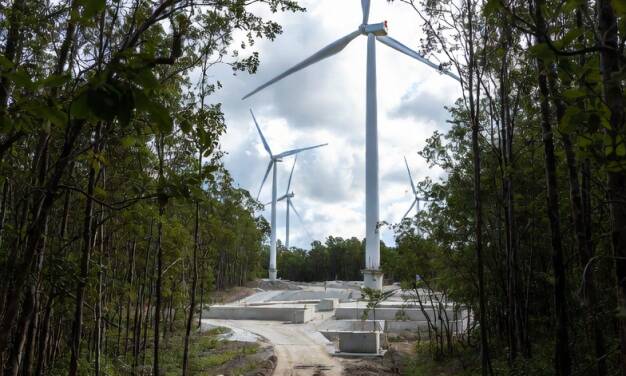 Gegenwind: Windkraft im Wald“  hier Entwaldung