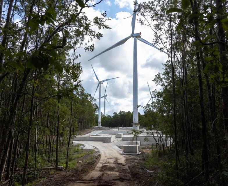 Gegenwind: Windkraft im Wald“  hier Entwaldung
