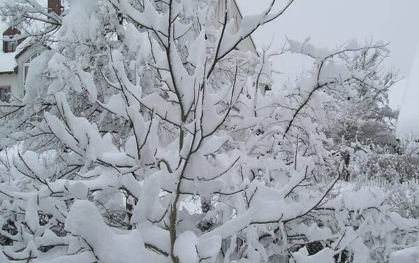 Kältereport Nr. 3 / 2026