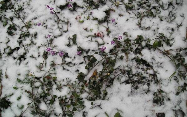 Das Wetter beweist den europäischen Klima-Kriegern, dass dumm eben einfach dumm ist.