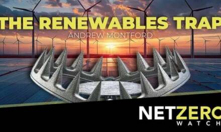 Die Falle der erneuerbaren Energien