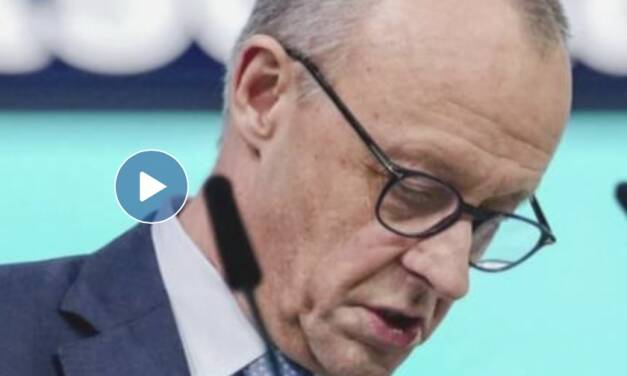 Bundeskanzler Merz, die Energiewende und das Schweigen im Walde