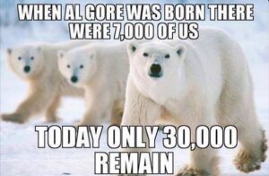 Polar-bears-gore-Unbenannt