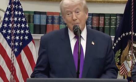 Al Gore ist ein Betrüger. Von X