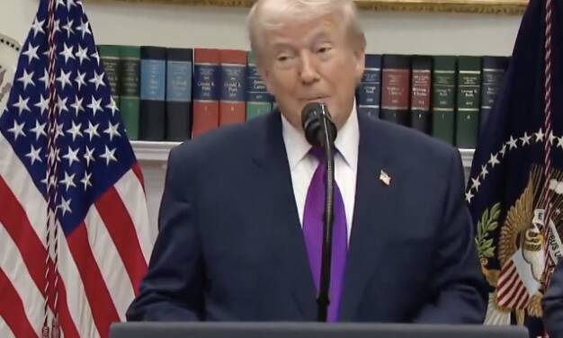 Al Gore ist ein Betrüger. Von X