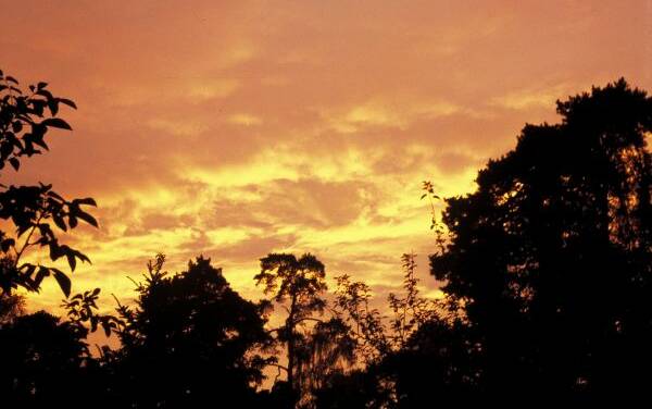 Neue Forschungsergebnisse bestätigen erneut, dass Wolken, Aerosole und die Sonneneinstrahlung auf die Erdoberfläche „das Klimasystem antreiben“