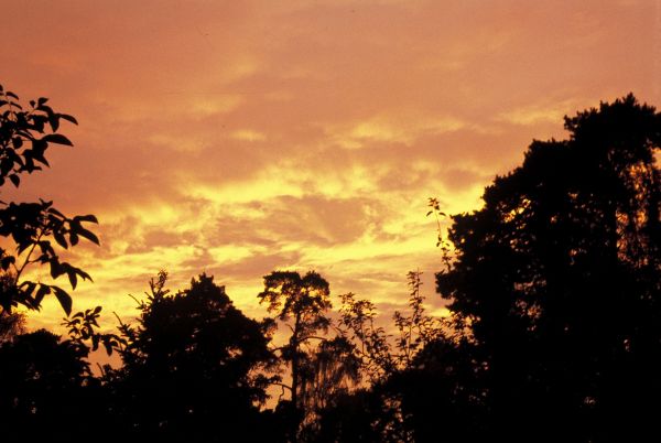Neue Forschungsergebnisse bestätigen erneut, dass Wolken, Aerosole und die Sonneneinstrahlung auf die Erdoberfläche „das Klimasystem antreiben“