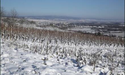 Dezember und Januar verhalten sich vollkommen unterschiedlich.