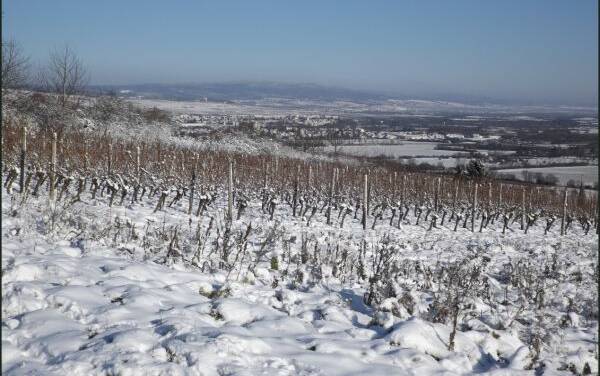 Dezember und Januar verhalten sich vollkommen unterschiedlich.