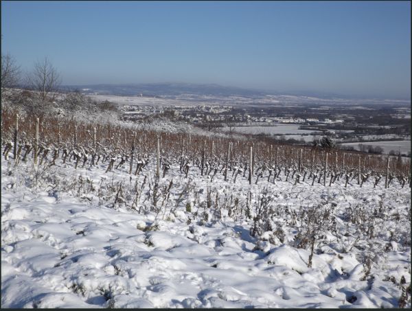 Dezember und Januar verhalten sich vollkommen unterschiedlich, auch in anderen Teilen der Welt – Teil 2
