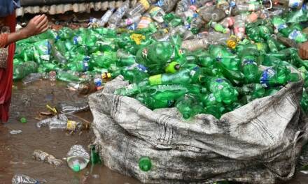 Die wahre Umweltkrise ist nicht der Klimawandel