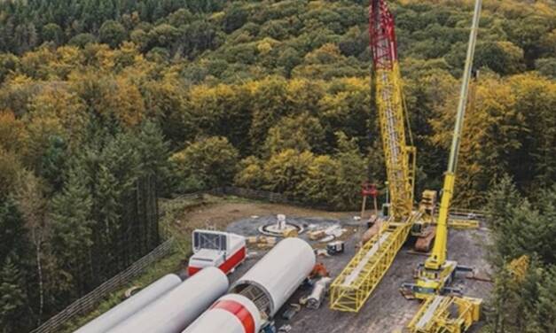 Gegenwind: 04 Natur- und Artenschutz