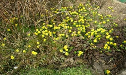 Der Februar in aller Welt – Teil 2