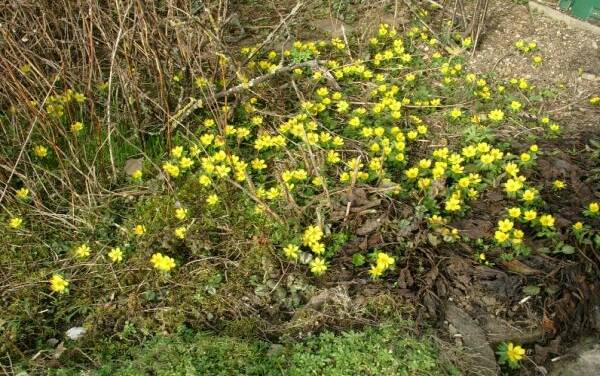 Der Februar in aller Welt – Teil 2