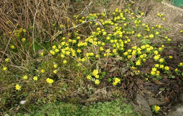 Der Februar in aller Welt – Teil 2