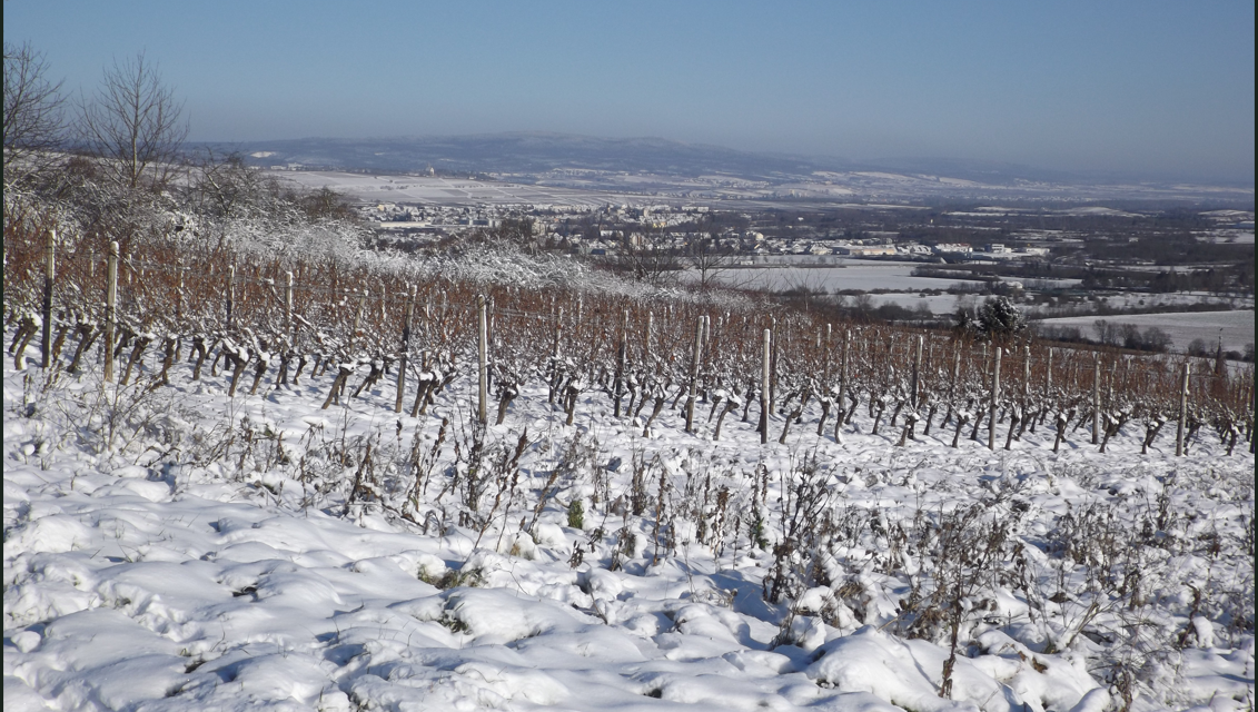 Januar und Februar verhalten sich vollkommen unterschiedlich. Nicht nur in Deutschland, Teil 2