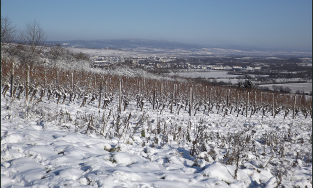 Januar und Februar verhalten sich vollkommen unterschiedlich. Nicht nur in Deutschland, Teil 2