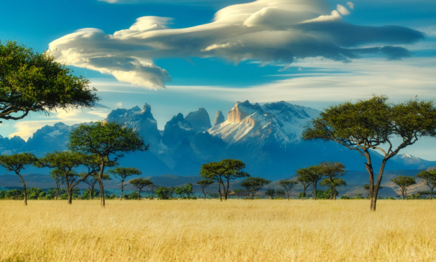 „Grüne“ Ideologie: eine Kraft für Unterdrückung in Afrika