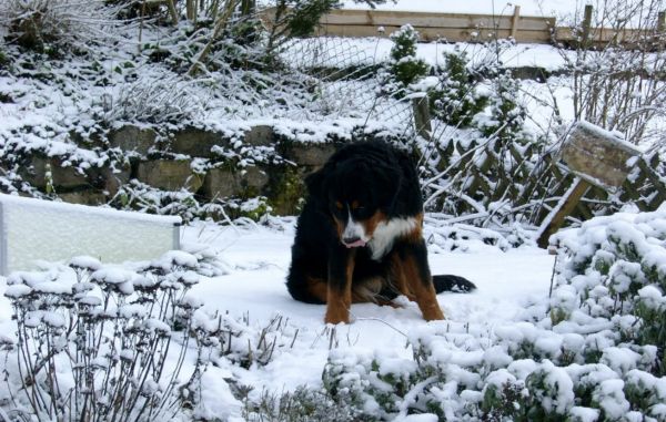 Wintererwärmung, aber nicht durch Kohlendioxid – Teil 2