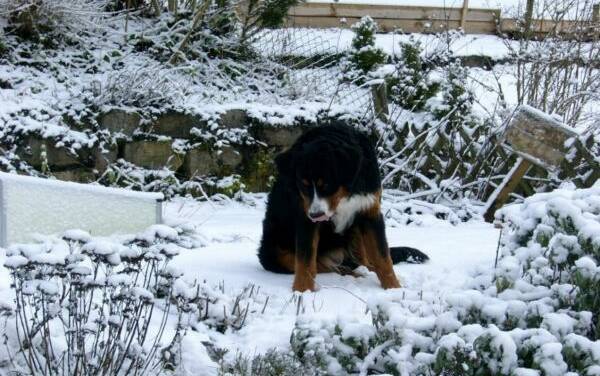 Wintererwärmung ja, aber nicht durch Kohlendioxid
