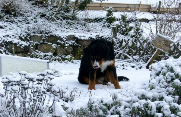Wintererwärmung ja, aber nicht durch Kohlendioxid