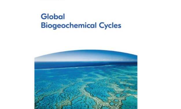 Eine Vermutung aus dem Jahr 1955 wurde zur falschen Grundlage des menschengemachten Klimas – und wie eine Studie aus dem Jahr 2020 sie als unumstößliche „Wahrheit“ zementierte.
