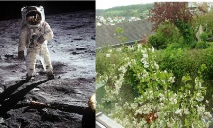 Kohlendioxid ist Leben, Kohlendioxid ist Schöpfung!