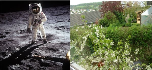 Kohlendioxid ist Leben, Kohlendioxid ist Schöpfung!