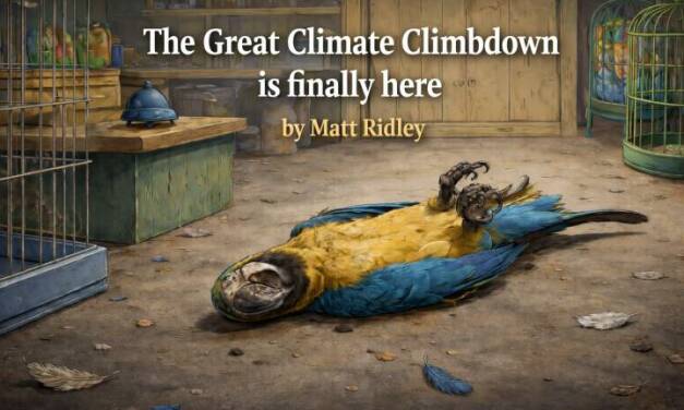 Matt Ridley glaubt, dass das Klima-Geplapper fast am Ende ist