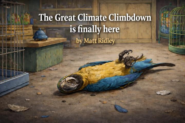 Matt Ridley glaubt, dass das Klima-Geplapper fast am Ende ist