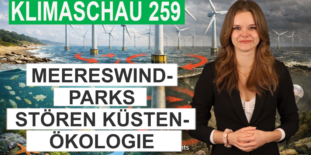 Meereswindparks stören die Strömung und Ökologie der Küstengewässer – Klimaschau 259
