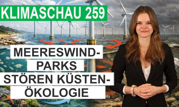 Meereswindparks stören die Strömung und Ökologie der Küstengewässer – Klimaschau 259