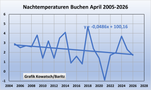 buchen-Tmin