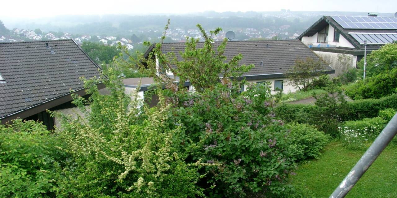 Nicht vergessen: die Eisheiligen stehen vor der Tür!