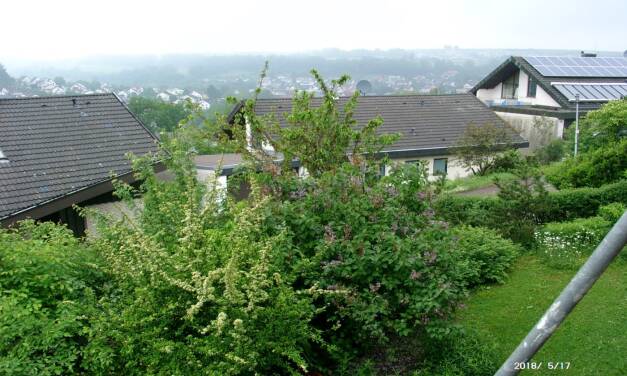 Nicht vergessen: die Eisheiligen stehen vor der Tür!