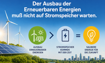 2014: „Der Ausbau der Erneuerbaren Energien muß nicht auf Stromspeicher warten.“